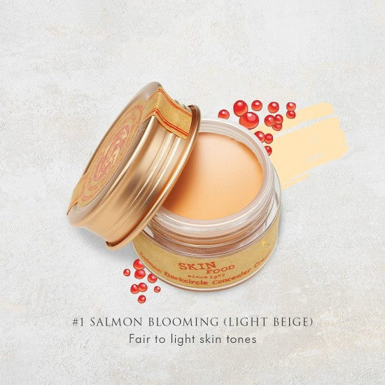 SKINFOOD SELMON DARK CIRCLE CONCEALER CREAM